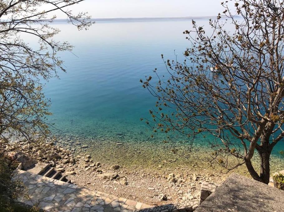 Apartment Lisarica Starigrad Paklenica Esterno foto